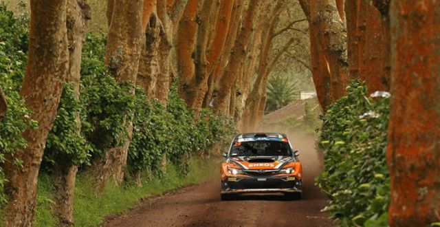 ¿Por qué Subaru es la marca de referencia en el mundo de los rallies? ¿Por qué Subaru es la marca de referencia en el mundo de los rallies?