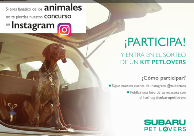 Perrotón 2016 da un paso más hacia la adopción responsable Perrotón 2016 da un paso más hacia la adopción responsable