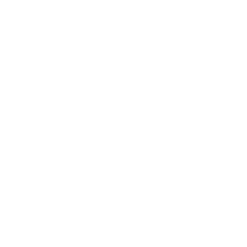 (c) Ciudauto.com