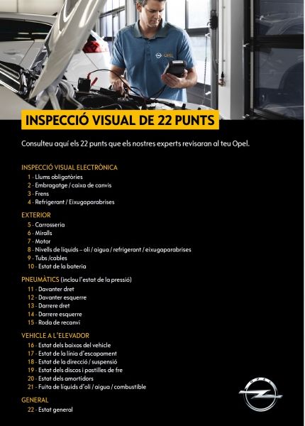Inspecció visual de 22 punts Inspecció visual de 22 punts