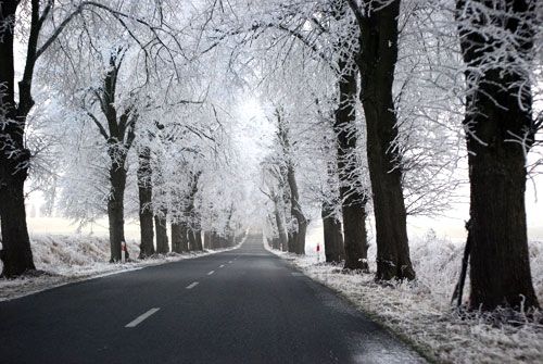 Prepara tu coche para el invierno. Prepara tu coche para el invierno.