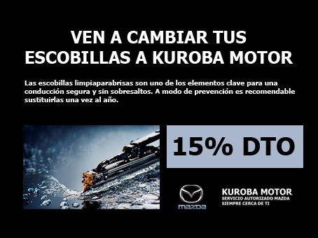 Obtenga un 15% de dto. al cambiar las escobillas de su vehiculo Obtenga un 15% de dto. al cambiar las escobillas de su vehiculo