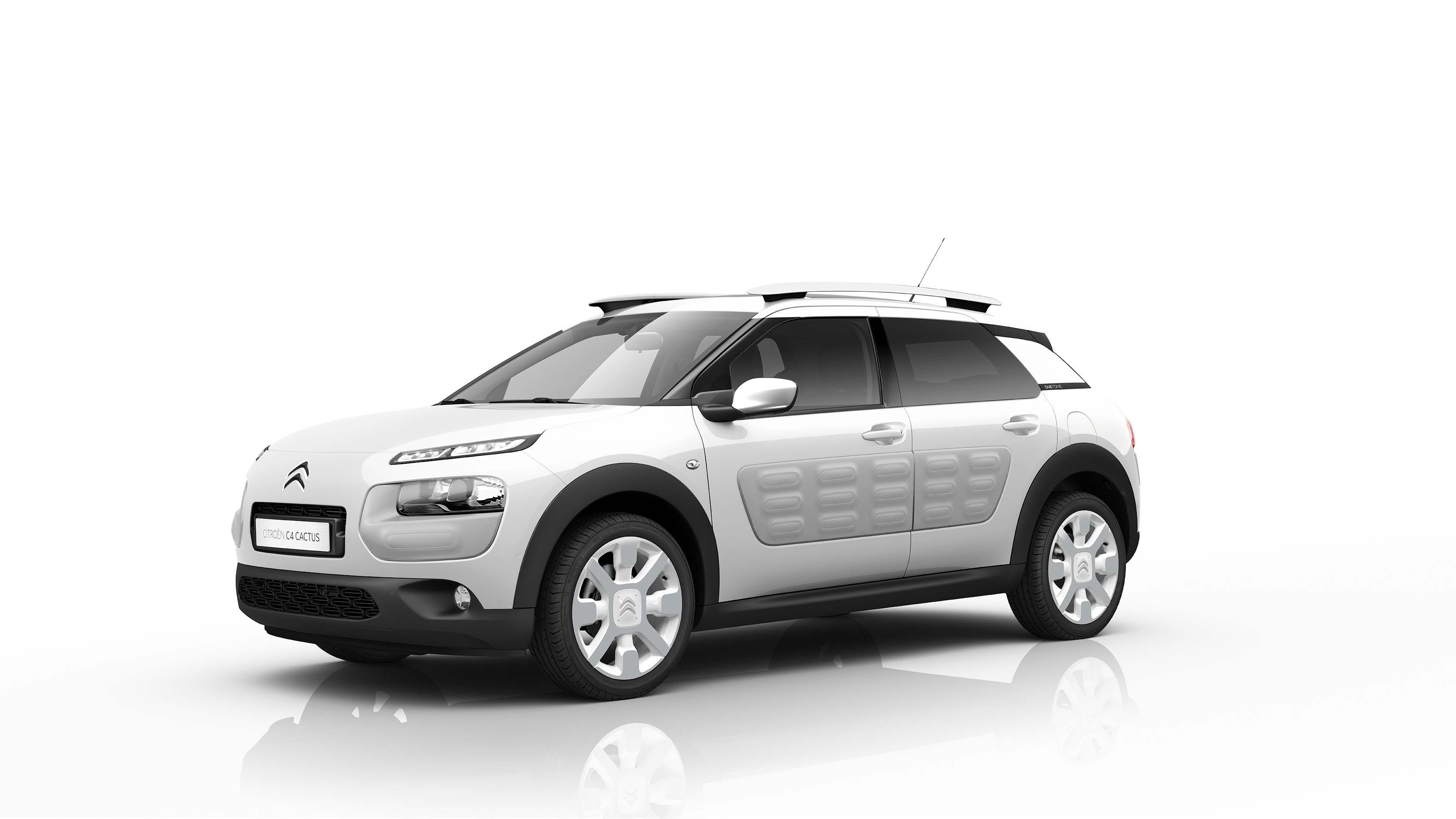 C4 Cactus One Tone un estilo elegante en un solo tono C4 Cactus One Tone un estilo elegante en un solo tono