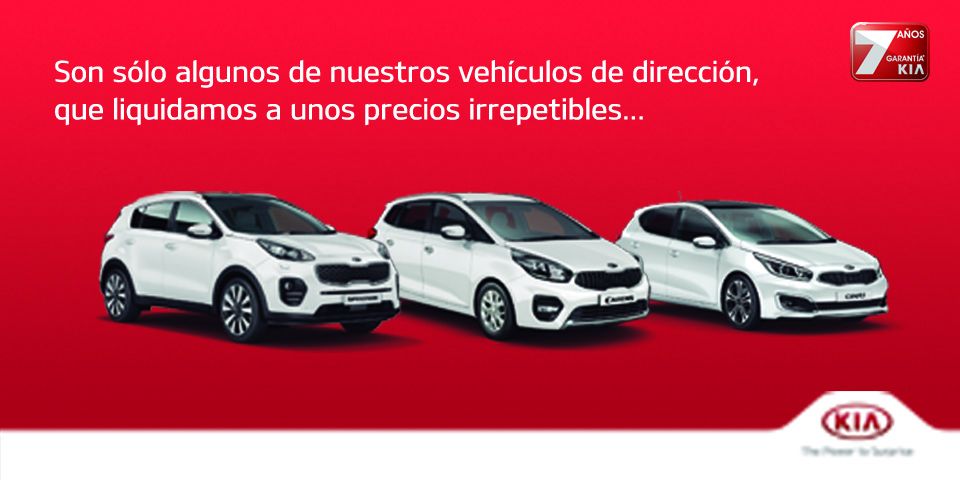 LIQUIDAMOS NUESTROS VEHÍCULOS DE DIRECCIÓN A UNOS PRECIOS IRRESISTIBLES... LIQUIDAMOS NUESTROS VEHÍCULOS DE DIRECCIÓN A UNOS PRECIOS IRRESISTIBLES...