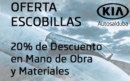 Oferta escobillas Oferta escobillas
