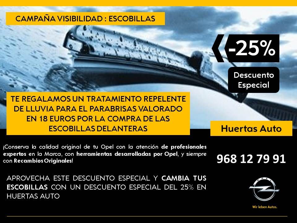 Campaña VISIBILIDAD: ESCOBILLAS Campaña VISIBILIDAD: ESCOBILLAS