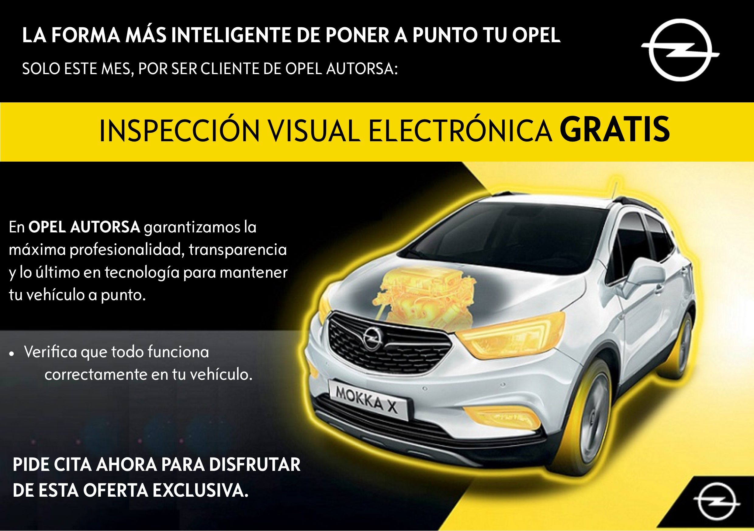 INSPECCIÓN VISUAL ELECTRÓNICA GRATUITA INSPECCIÓN VISUAL ELECTRÓNICA GRATUITA