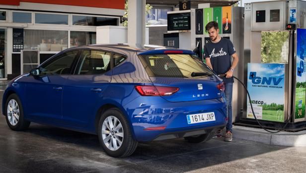 Gran acierto de SEAT, los vehículos ecológicos aumentan un 320% sus ventas Gran acierto de SEAT, los vehículos ecológicos aumentan un 320% sus ventas