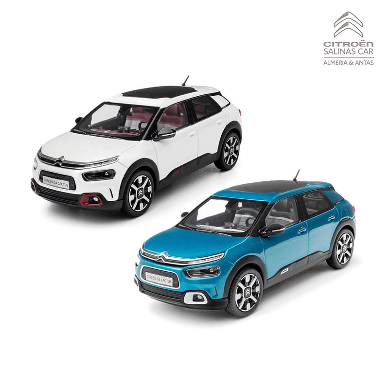 Ya puedes reservar el Nuevo C4 Cactus en Salinas Car Ya puedes reservar el Nuevo C4 Cactus en Salinas Car
