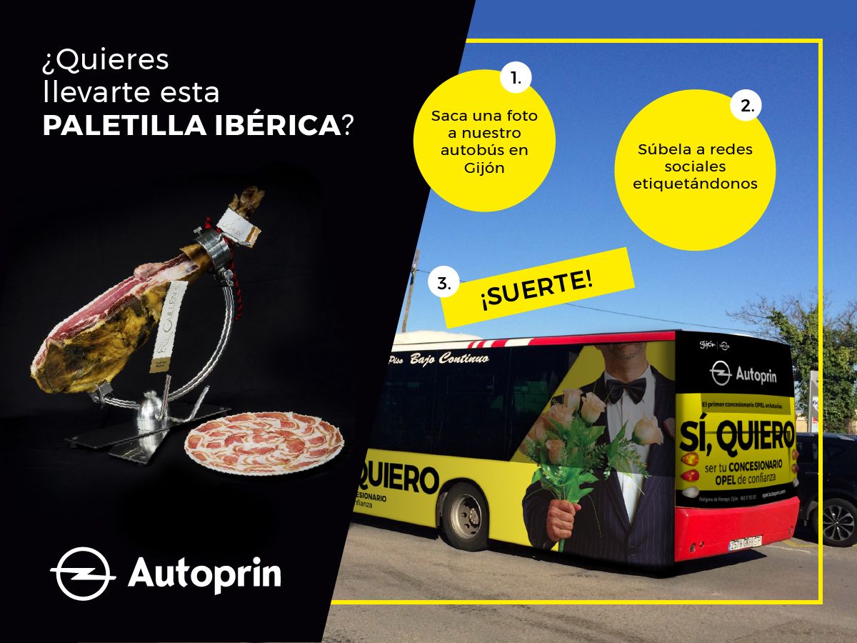 Sí quiero… ¡una paletilla ibérica! Sí quiero… ¡una paletilla ibérica!
