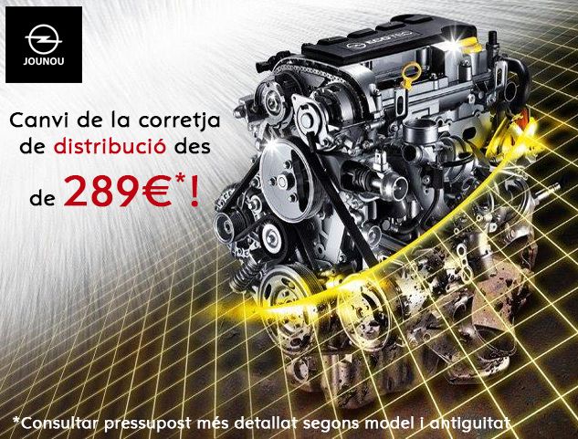 OPEL: CANVI CORRETJA DISTRIBUCIÓ OPEL: CANVI CORRETJA DISTRIBUCIÓ