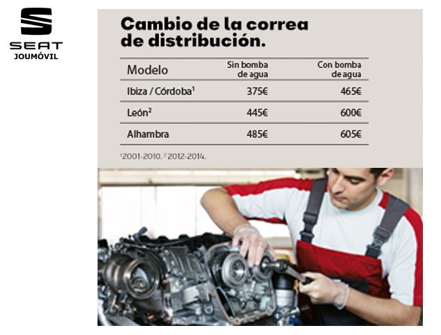 SEAT: CAMBIO CORREA DE DISTRIBUCIÓN SEAT: CAMBIO CORREA DE DISTRIBUCIÓN