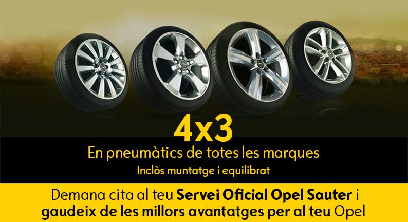 4x3 en pneumàtics 4x3 en pneumàtics