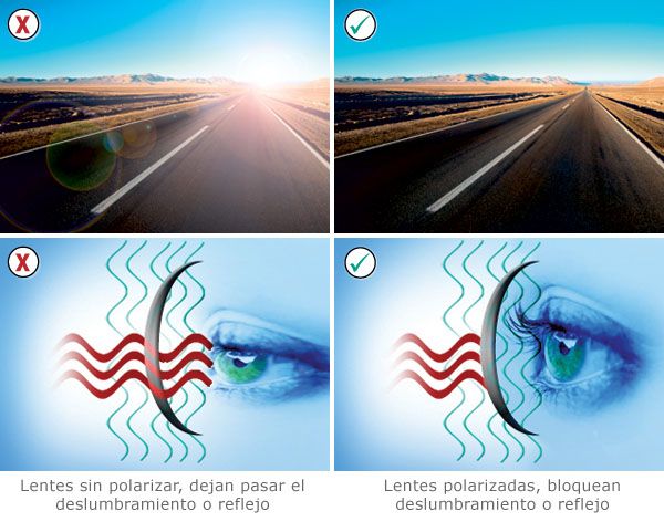 ¿Cuáles son las mejores gafas para conducir? ¿Cuáles son las mejores gafas para conducir?