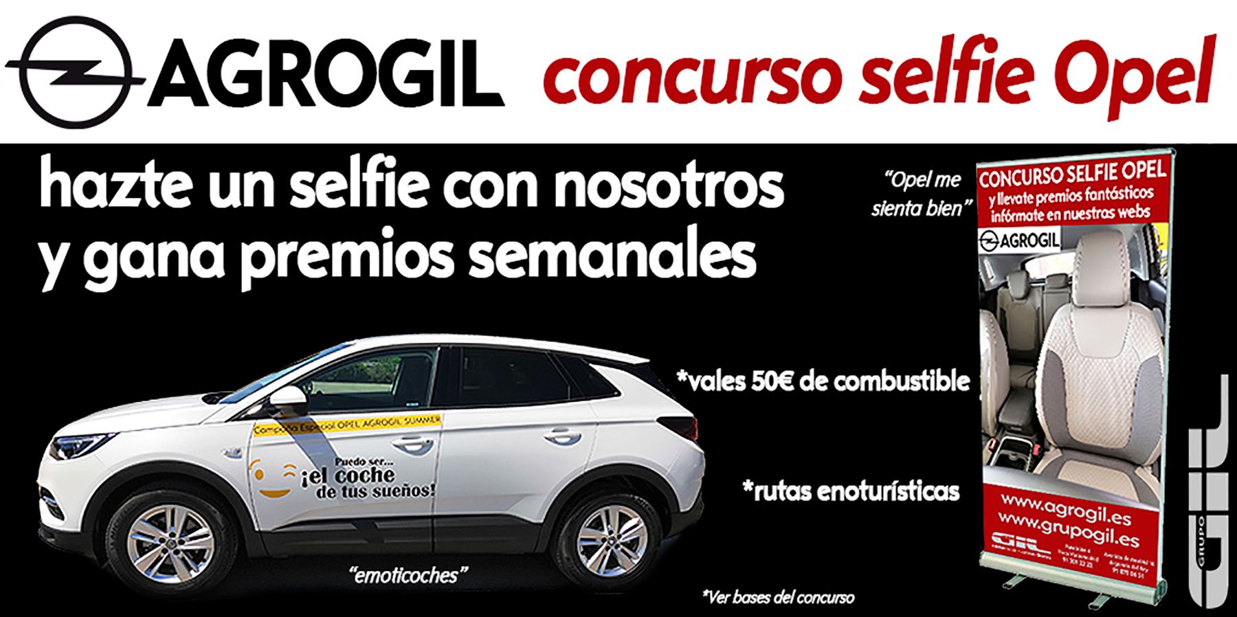 Bases del concurso Bases del concurso