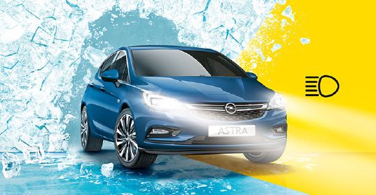 PROMOCION OTOÑO ESCOBILLAS CON DESCUENTO 25% PROMOCION OTOÑO ESCOBILLAS CON DESCUENTO 25%
