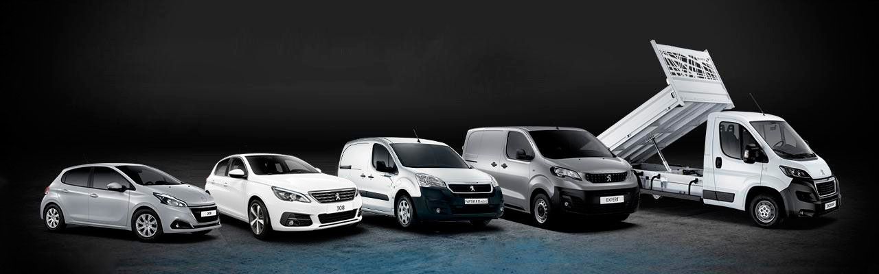 OFERTAS AUTOINTER PARA TU NEGOCIO: VEHÍCULOS DE EMPRESA OFERTAS AUTOINTER PARA TU NEGOCIO: VEHÍCULOS DE EMPRESA