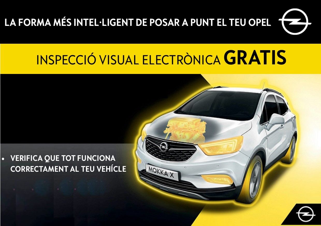 INSPECCIÓ VISUAL ELECTRÒNICA GRATUÏTA INSPECCIÓ VISUAL ELECTRÒNICA GRATUÏTA