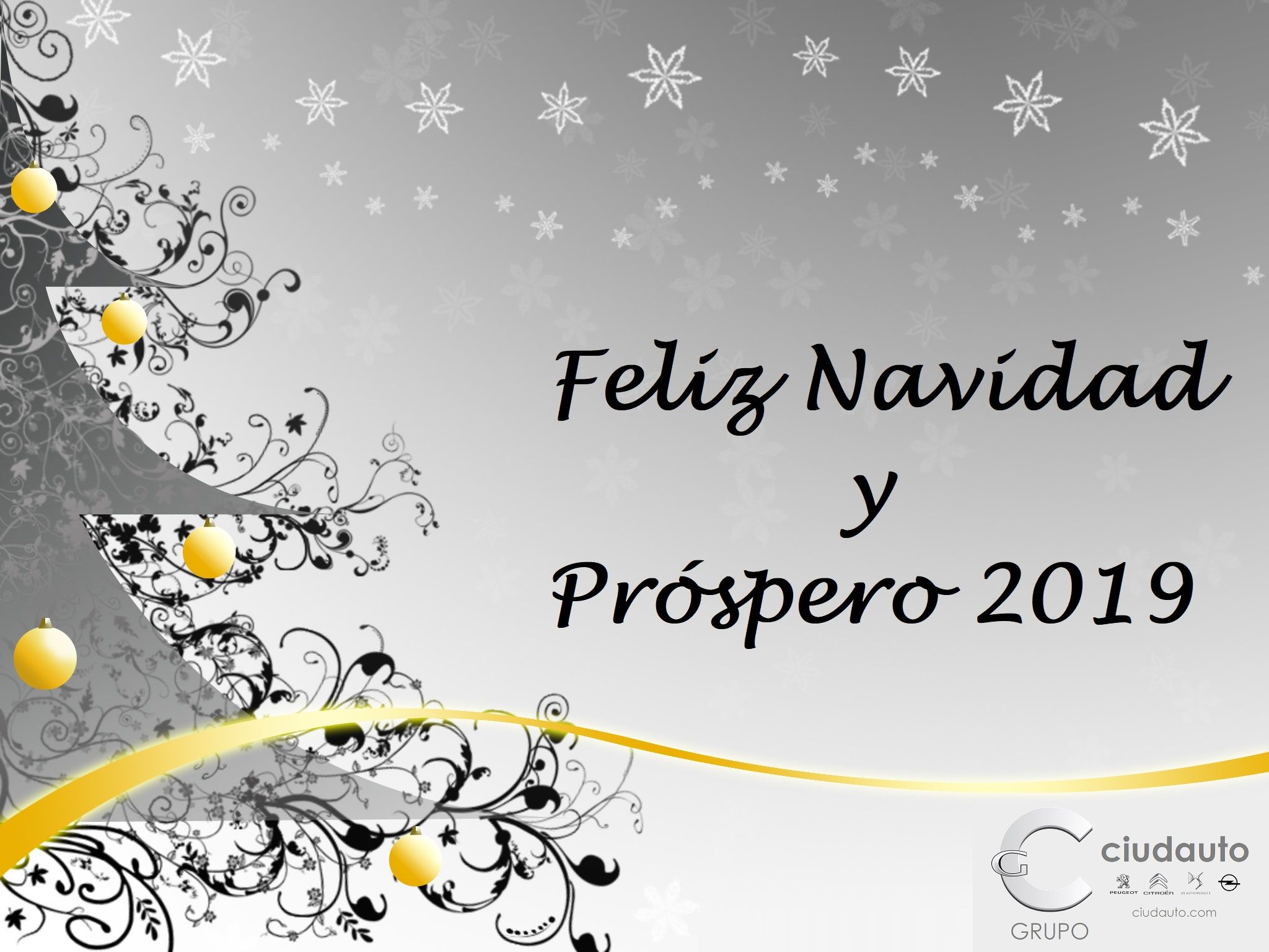¡ FELICES FIESTAS! ¡ FELICES FIESTAS!