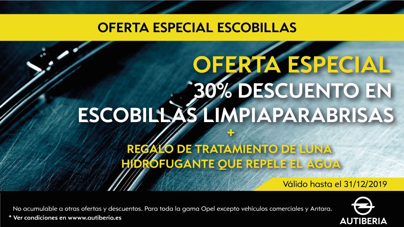 RENUEVA TUS ESCOBILLAS CON UN DESCUENTO INCREÍBLE....¡Y UN REGALO! RENUEVA TUS ESCOBILLAS CON UN DESCUENTO INCREÍBLE....¡Y UN REGALO!