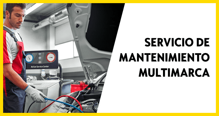 Servicio de Mantenimiento Multimarca Servicio de Mantenimiento Multimarca