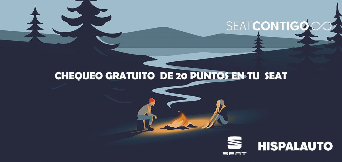 CHEQUEO GRATUITO DE 20 PUNTOS EN TU SEAT CHEQUEO GRATUITO DE 20 PUNTOS EN TU SEAT