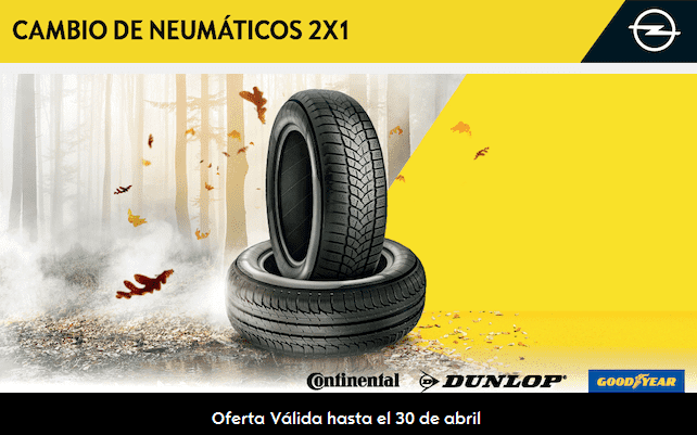 NEUMATICOS 2X1 NEUMATICOS 2X1
