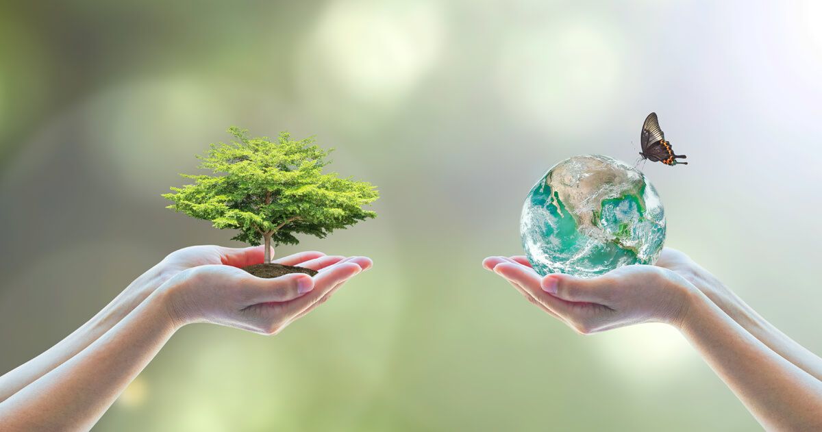 DESEMPEÑO AMBIENTAL 2018 DESEMPEÑO AMBIENTAL 2018