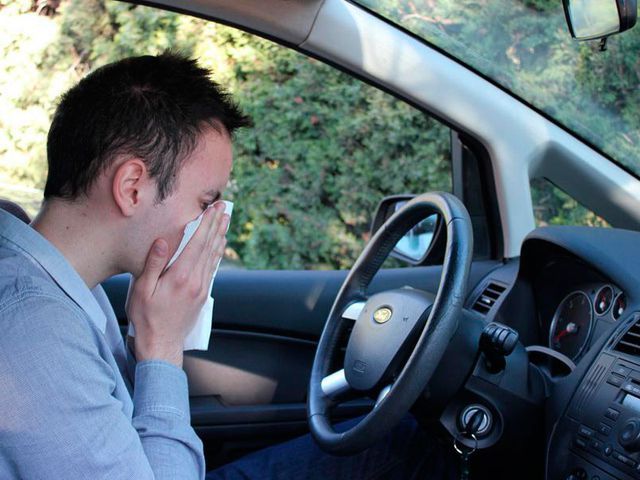 Primavera, Consejos para los conductores con algún tipo de alergia Primavera, Consejos para los conductores con algún tipo de alergia