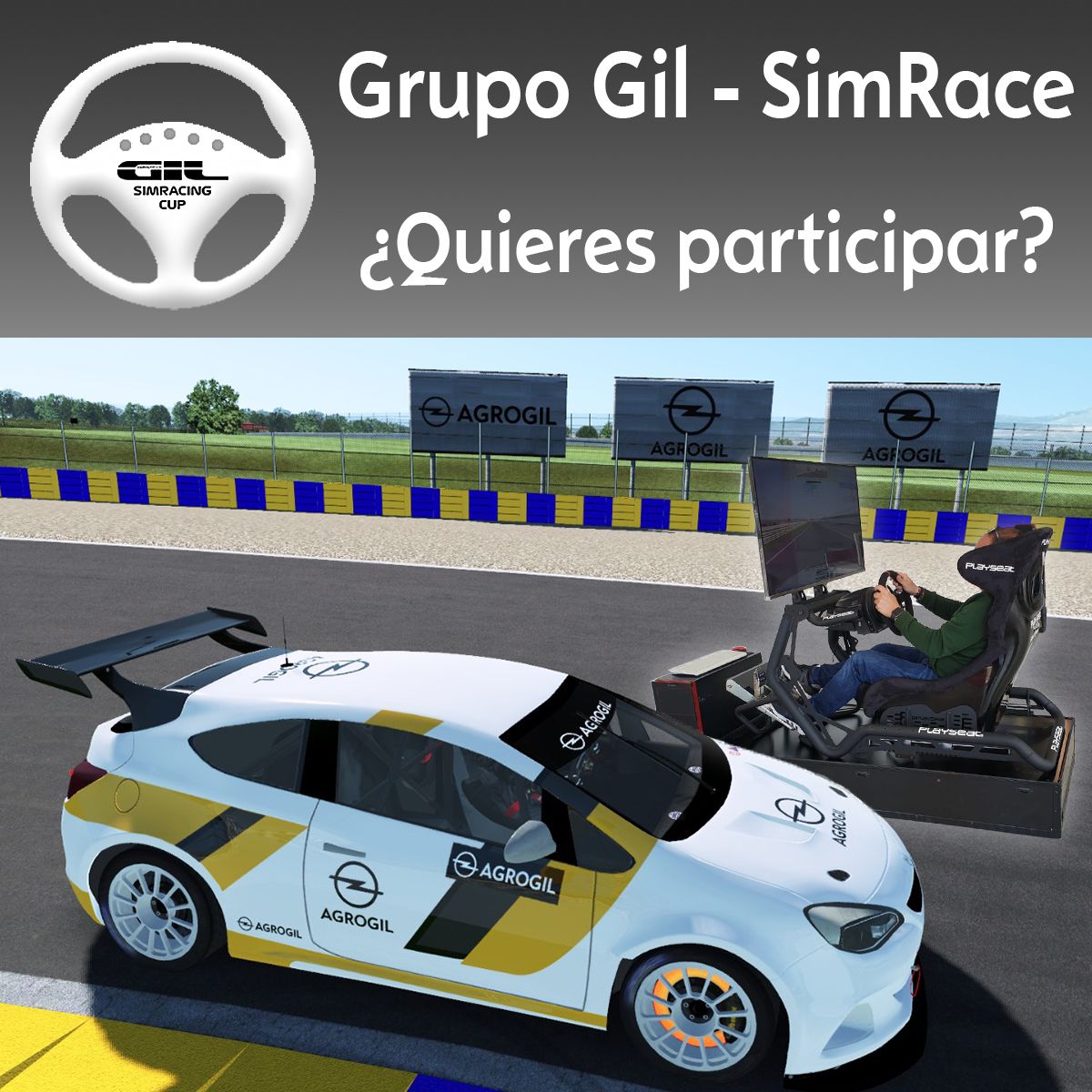 2º RONDA DEL CAMPEONATO GRUPO GIL - SIMRACING CUP 2º RONDA DEL CAMPEONATO GRUPO GIL - SIMRACING CUP
