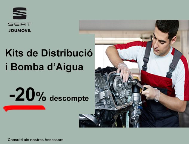SEAT: CANVIA LA CORRETJA DE DISTRIBUCIÓ AMB DESCOMPTE! SEAT: CANVIA LA CORRETJA DE DISTRIBUCIÓ AMB DESCOMPTE!