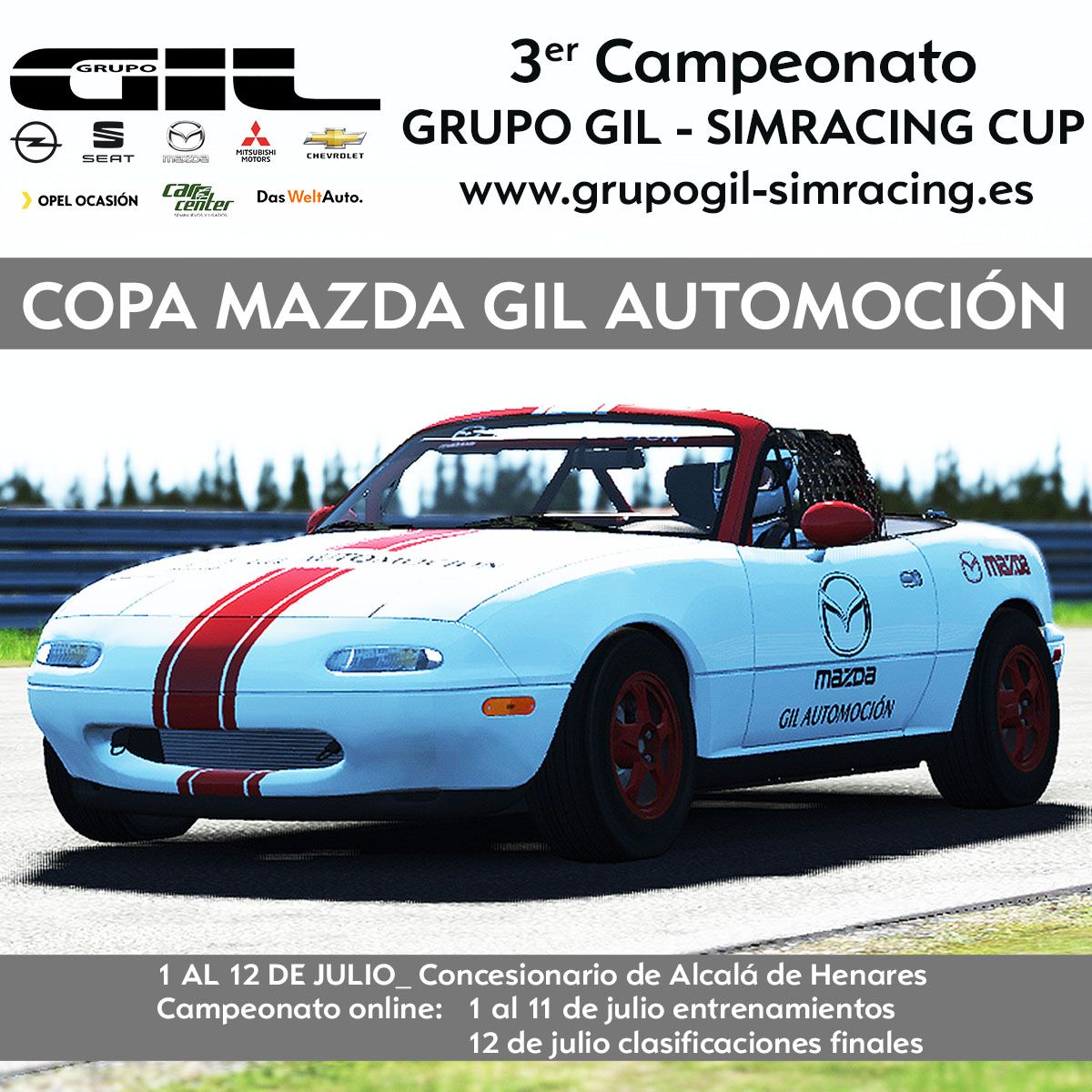 3ª RONDA DEL CAMPEONATO GRUPO GIL - SIMRACING CUP 3ª RONDA DEL CAMPEONATO GRUPO GIL - SIMRACING CUP