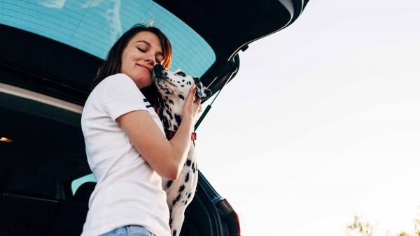 ¿Viajas con tu mascota en coche? Cinco errores que debes evitar ¿Viajas con tu mascota en coche? Cinco errores que debes evitar