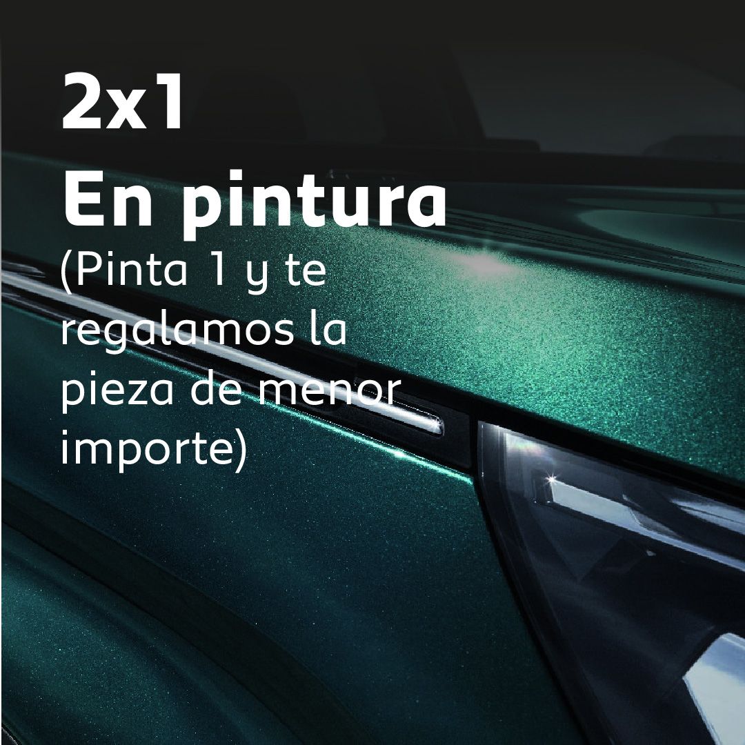 2X1 EN PINTURA 2X1 EN PINTURA