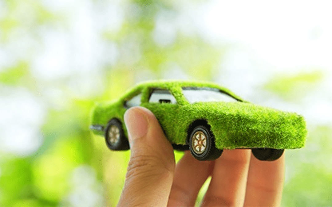 Milautomóviles con el medio ambiente y el vehículo de ocasión Milautomóviles con el medio ambiente y el vehículo de ocasión