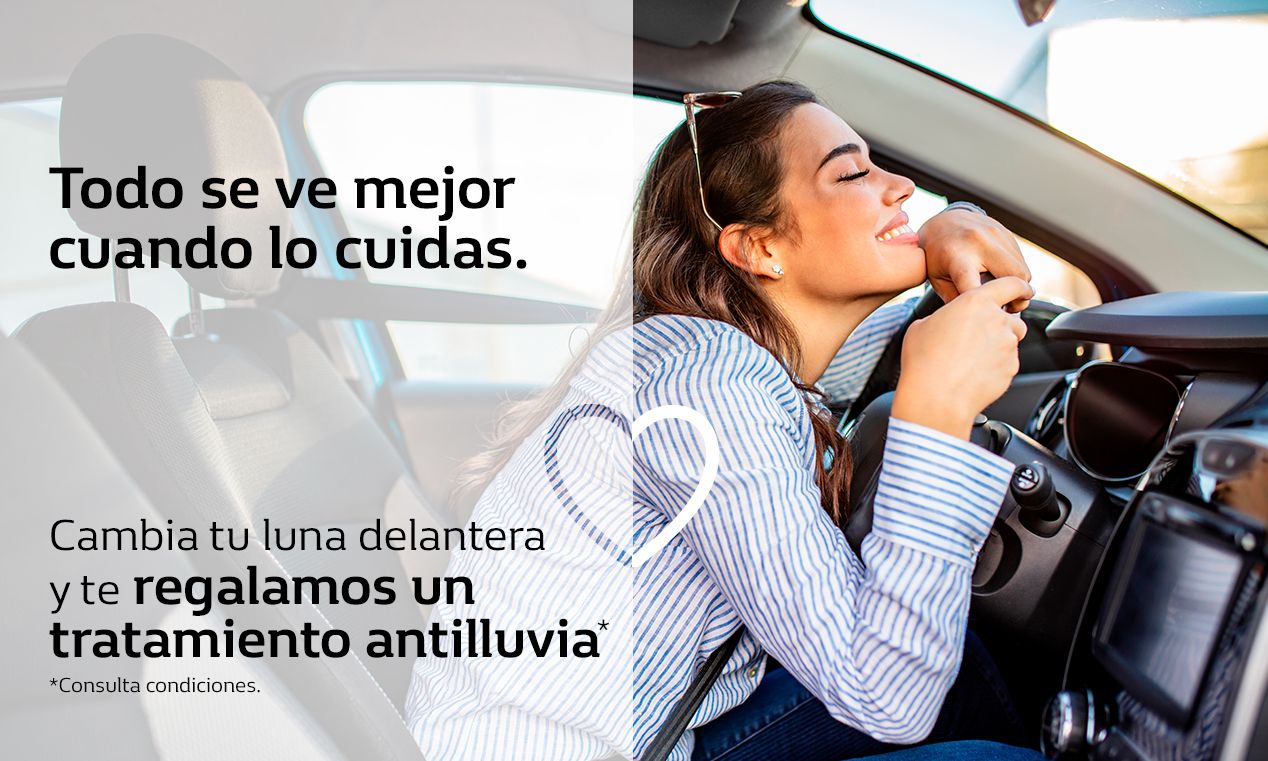PROMOCIÓN RENAULT. REVISIÓN LUNA DELANTERA PROMOCIÓN RENAULT. REVISIÓN LUNA DELANTERA