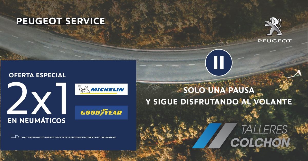 2x1 EN NEUMÁTICOS MICHELIN Y GOODYEAR + SEGURO 2x1 EN NEUMÁTICOS MICHELIN Y GOODYEAR + SEGURO