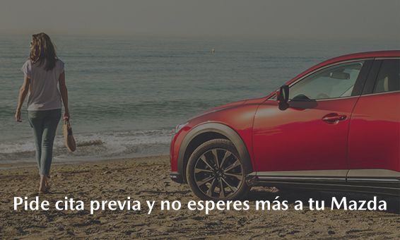 Volvemos a abrir nuestro concesionario Volvemos a abrir nuestro concesionario