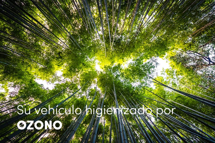 Desinfección de vehículo por OZONO Desinfección de vehículo por OZONO