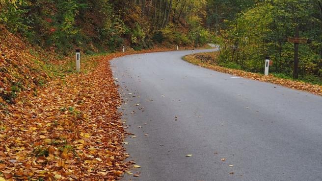 La acumulación de hojas en la carretera puede provocar un accidente de tráfico La acumulación de hojas en la carretera puede provocar un accidente de tráfico