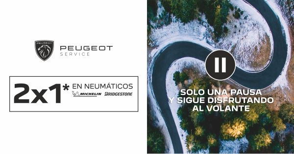 2x1 EN NEUMÁTICOS MICHELIN Y BRIDGESTONE 2x1 EN NEUMÁTICOS MICHELIN Y BRIDGESTONE