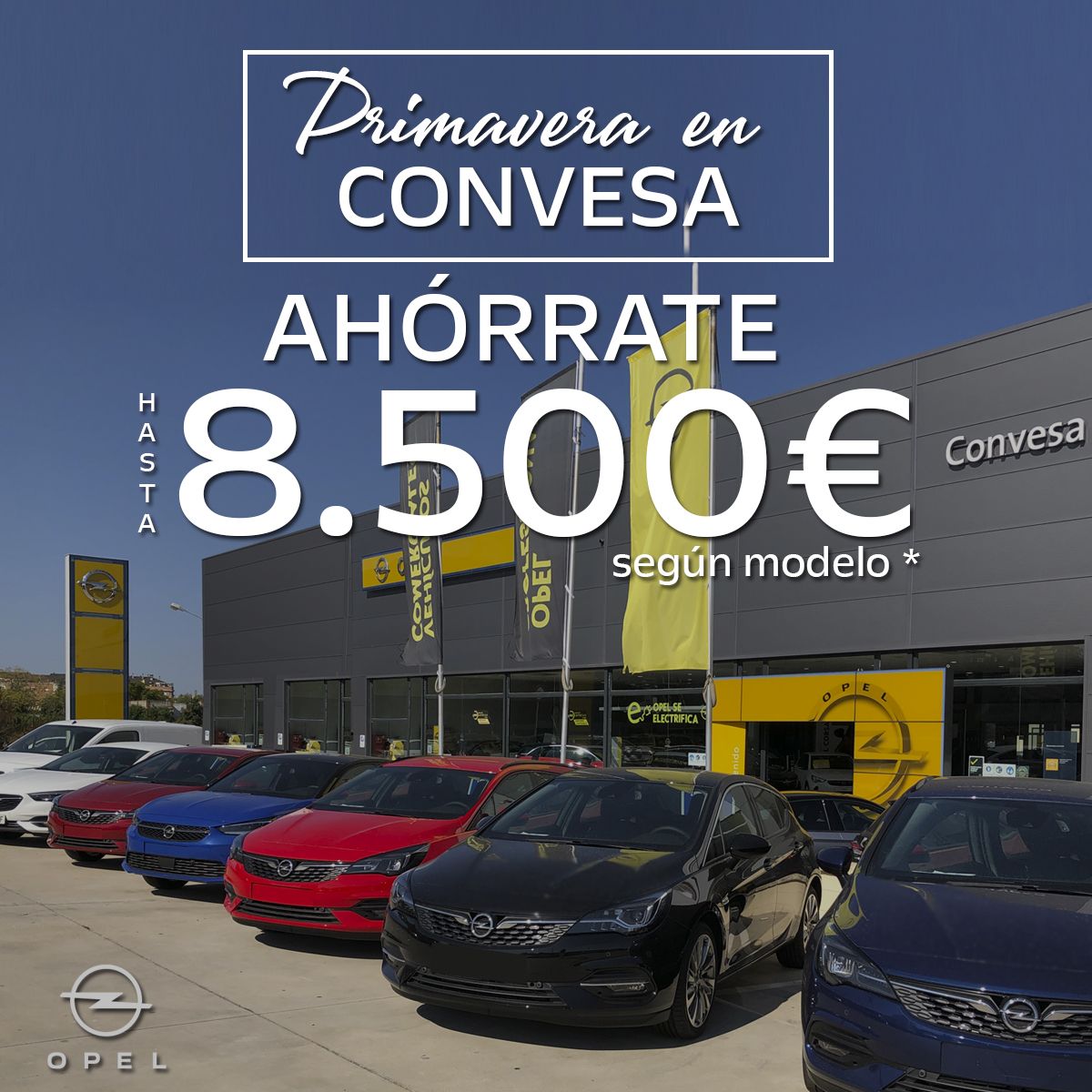 Llega la PRIMAVERA a CONVESA Llega la PRIMAVERA a CONVESA