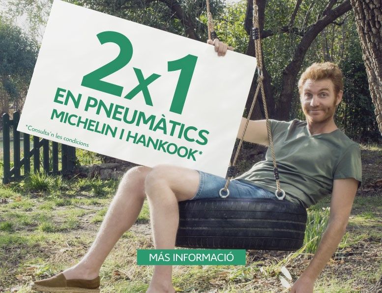 PNEUMATICS 2X1 PNEUMATICS 2X1