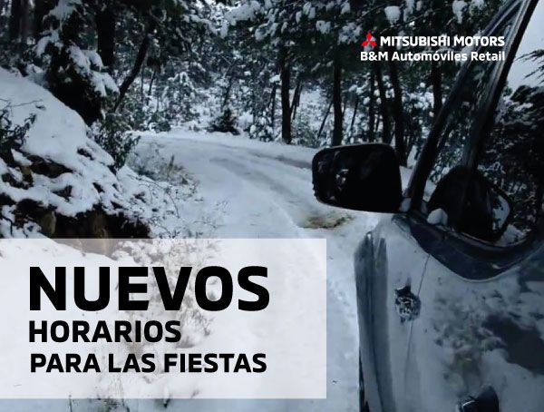 HORARIOS PERIODO NAVIDAD HORARIOS PERIODO NAVIDAD