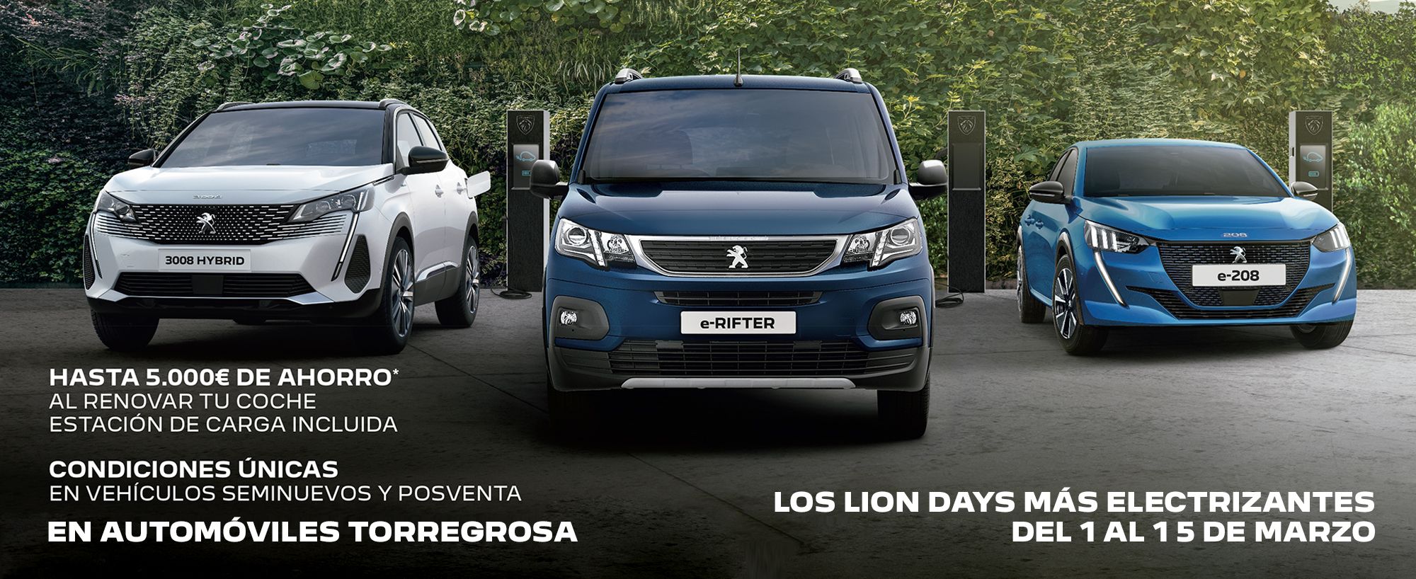 LOS LION DAYS MÁS ELECTRIZANTES DEL 1 AL 15 DE MARZO LOS LION DAYS MÁS ELECTRIZANTES DEL 1 AL 15 DE MARZO