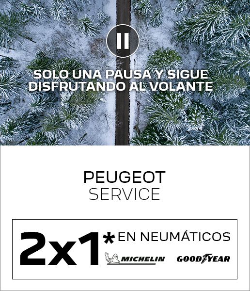 2X1 EN NEUMÁTICOS 2X1 EN NEUMÁTICOS