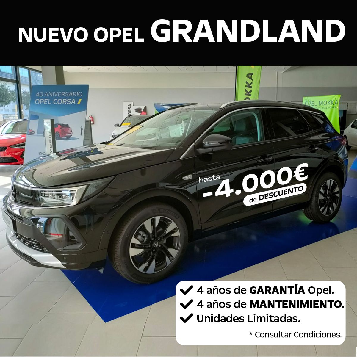 OFERTA ESPECIAL OFERTA ESPECIAL