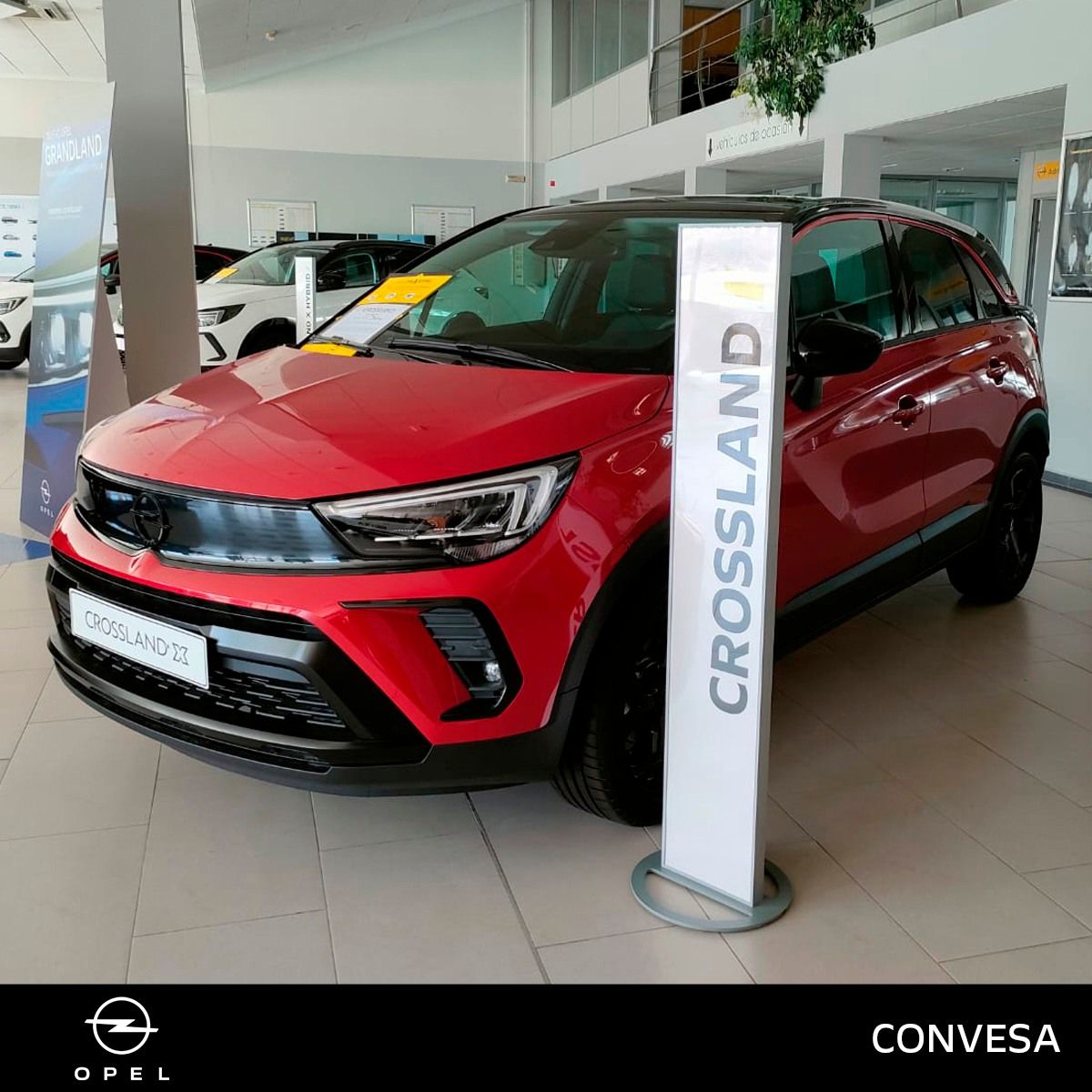 PROMOCIÓN ENERO CROSSLAND PROMOCIÓN ENERO CROSSLAND