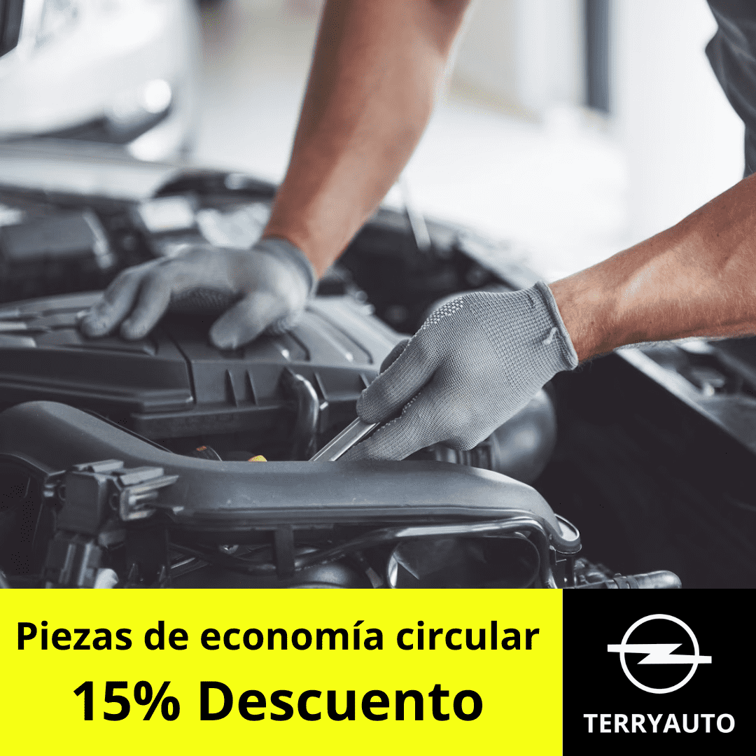 Acción Economía Circular Acción Economía Circular