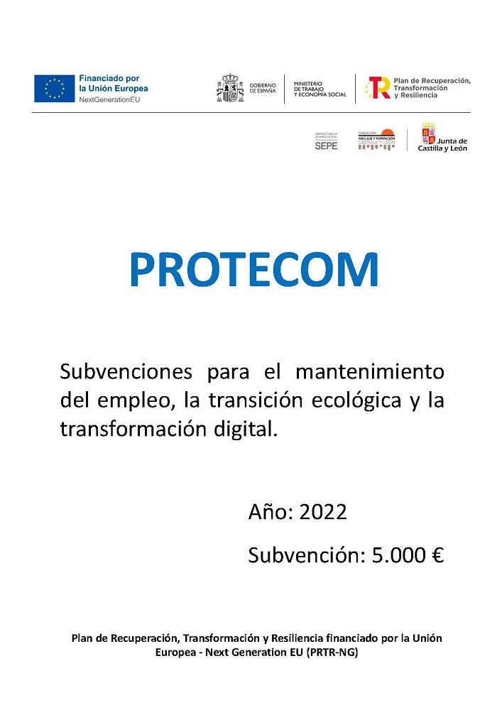 Ayudas PROTECOM Ayudas PROTECOM